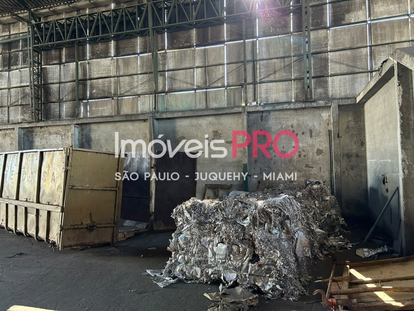 Foto :: IP40657
