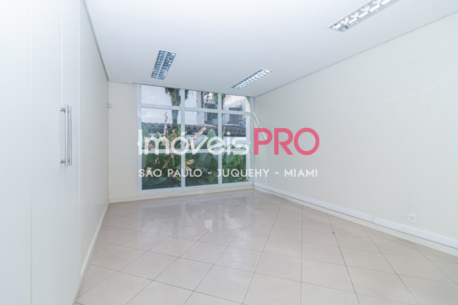 Foto :: IP40658