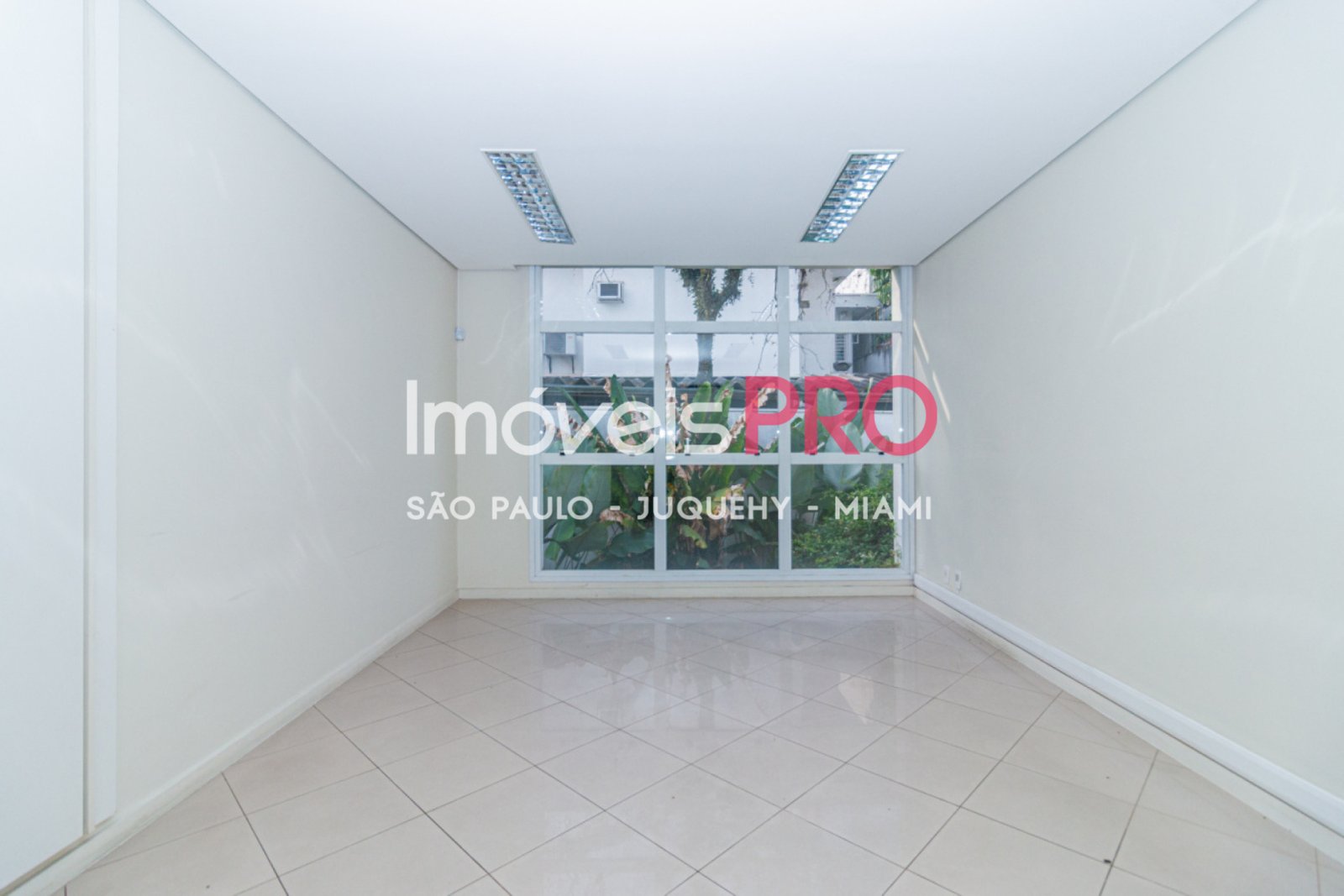 Foto :: IP40658