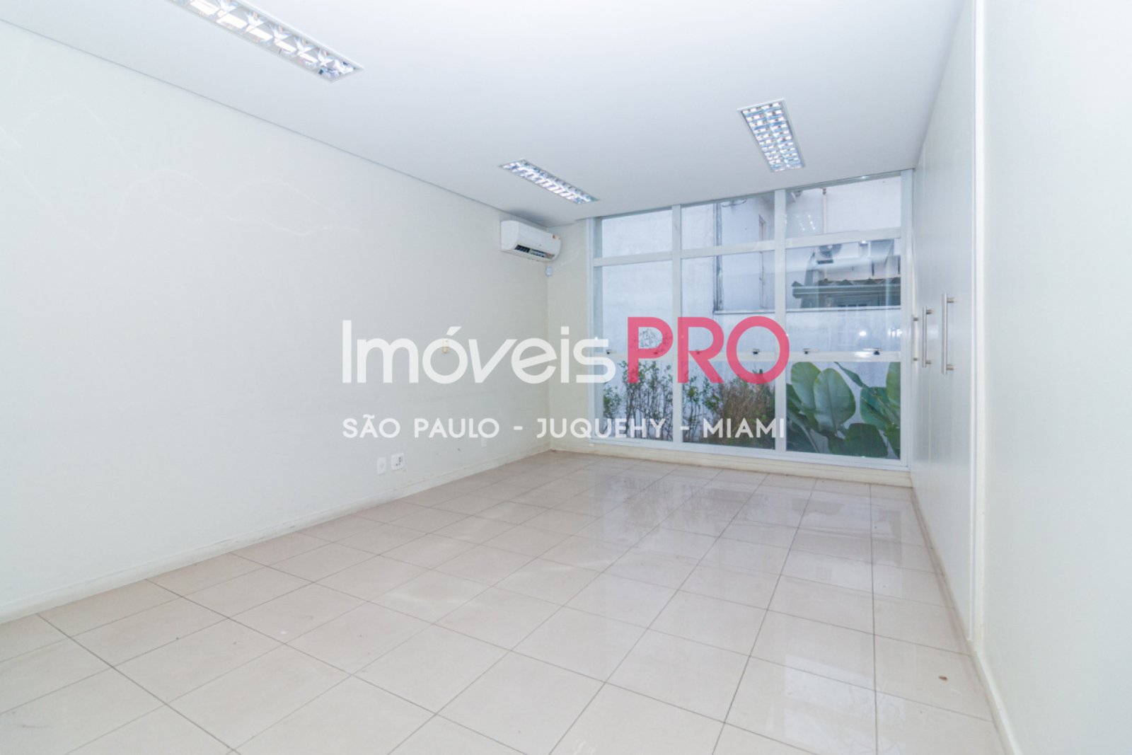 Foto :: IP40658