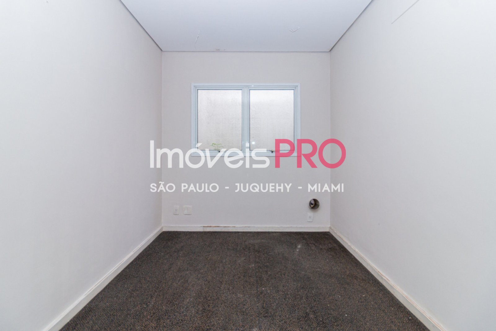 Foto :: IP40658