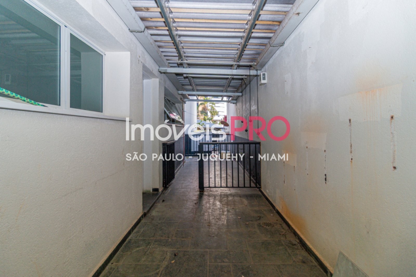 Foto :: IP40658