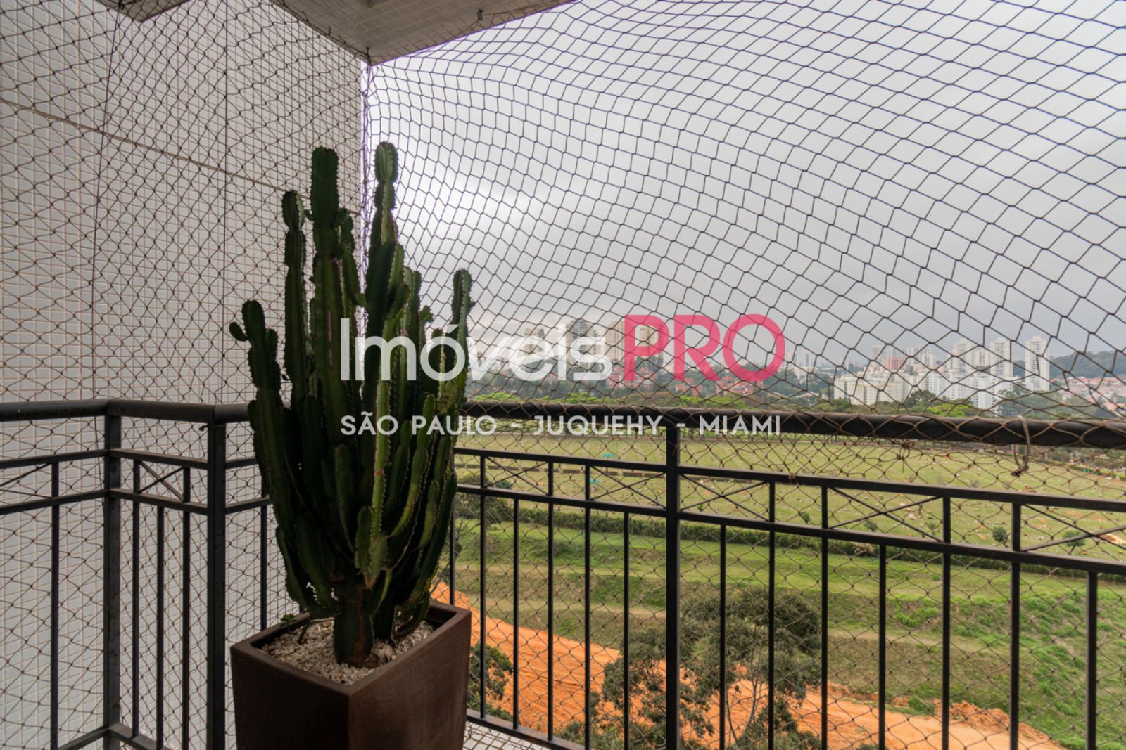 Foto :: IP40663