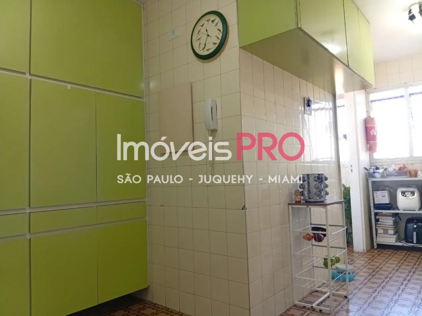 Foto :: IP40675