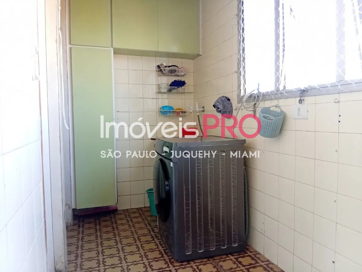 Foto :: IP40675