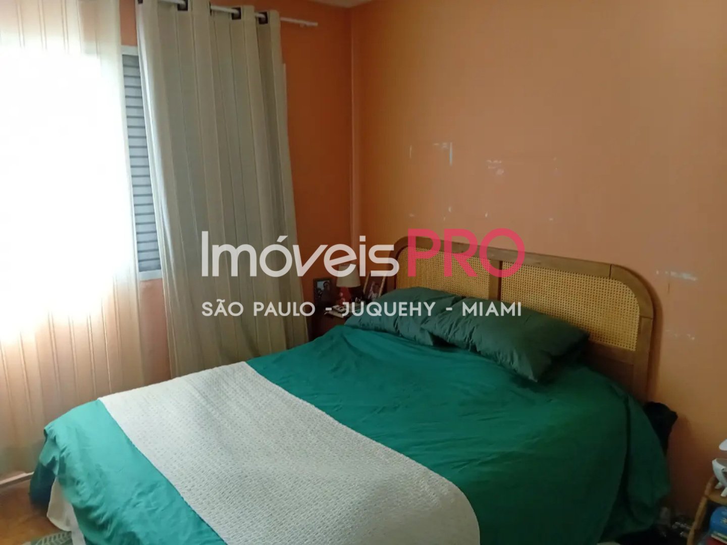 Foto :: IP40675