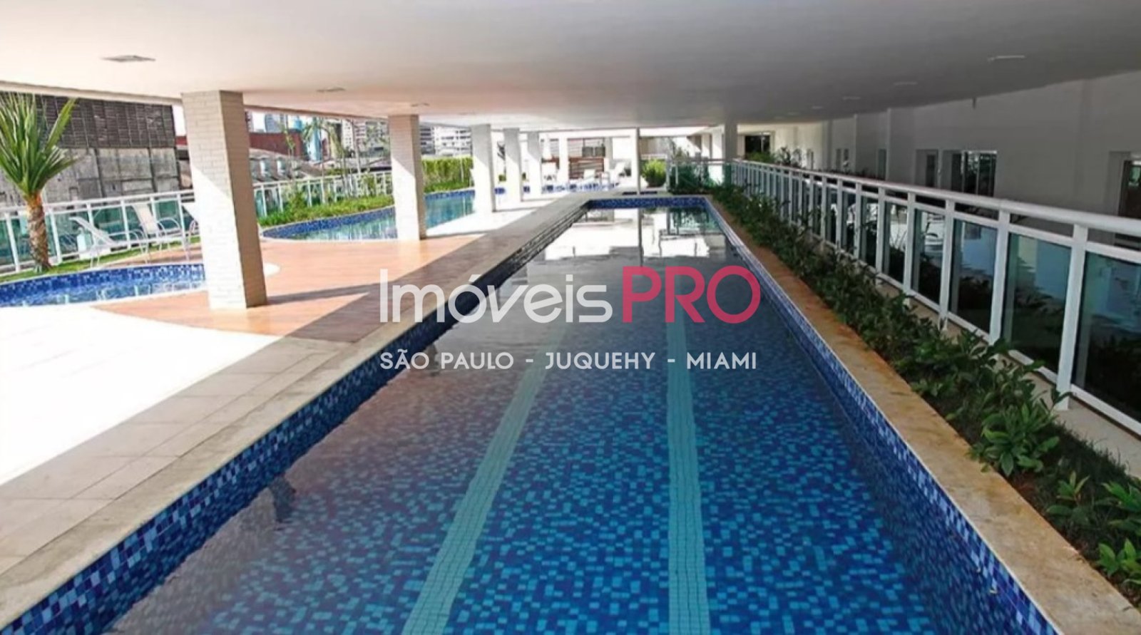 Foto :: IP40684