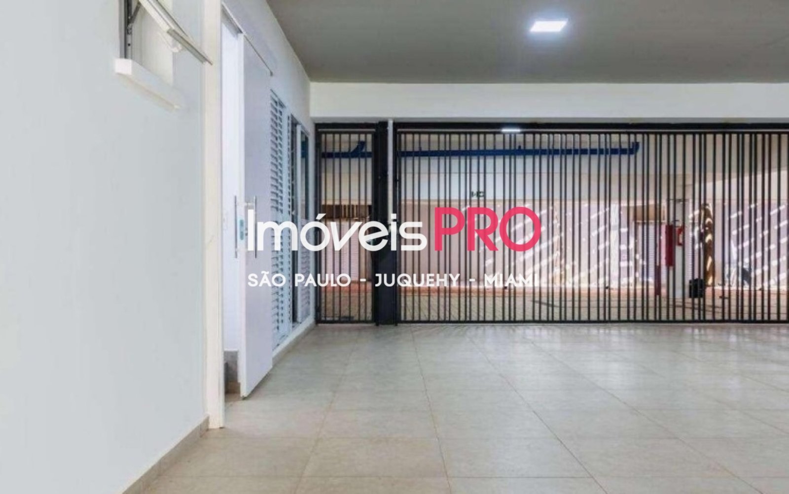 Foto :: IP40688