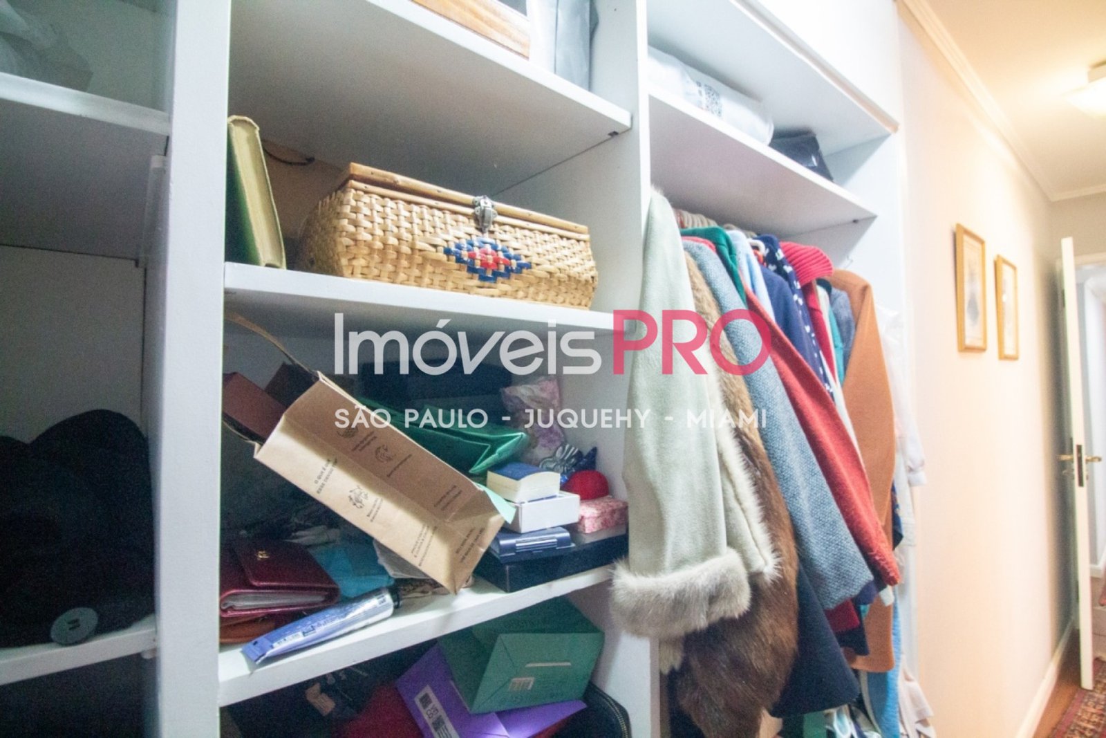 Foto :: IP40691