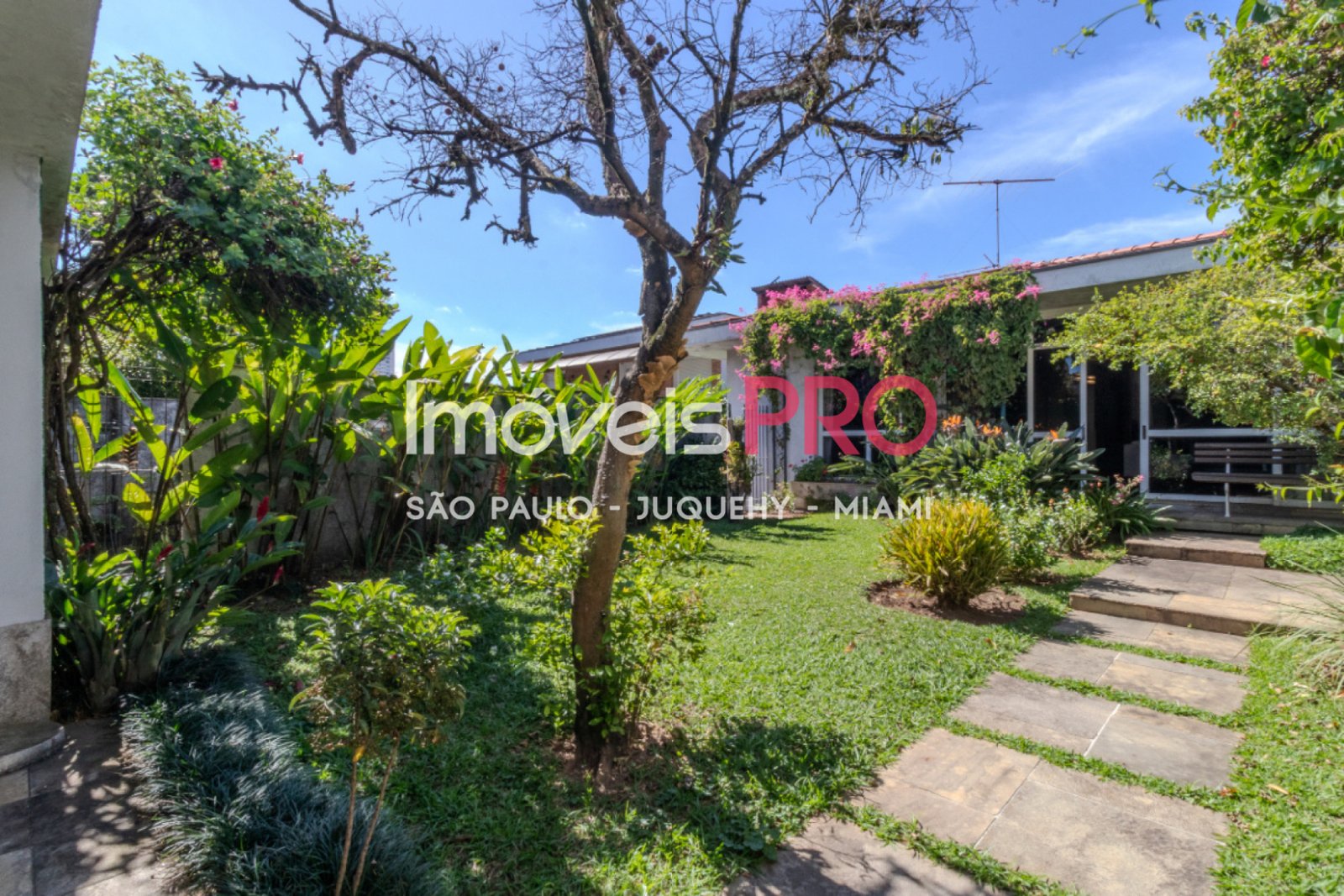 Foto :: IP40696