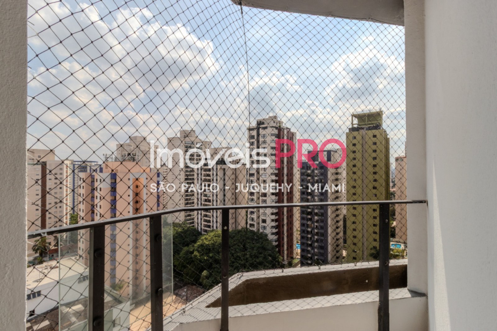Foto :: IP40698