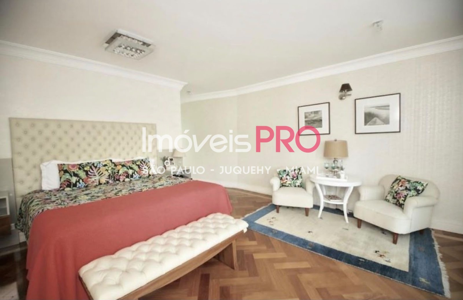 Foto :: IP40716