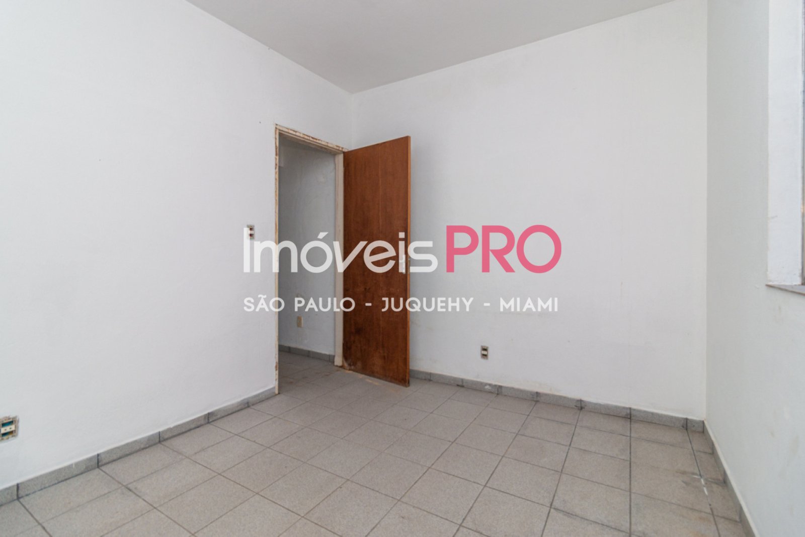 Foto :: IP40735