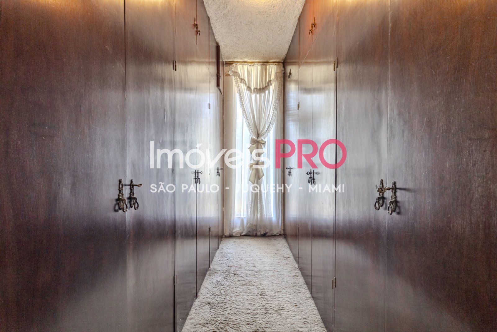 Foto :: IP40741