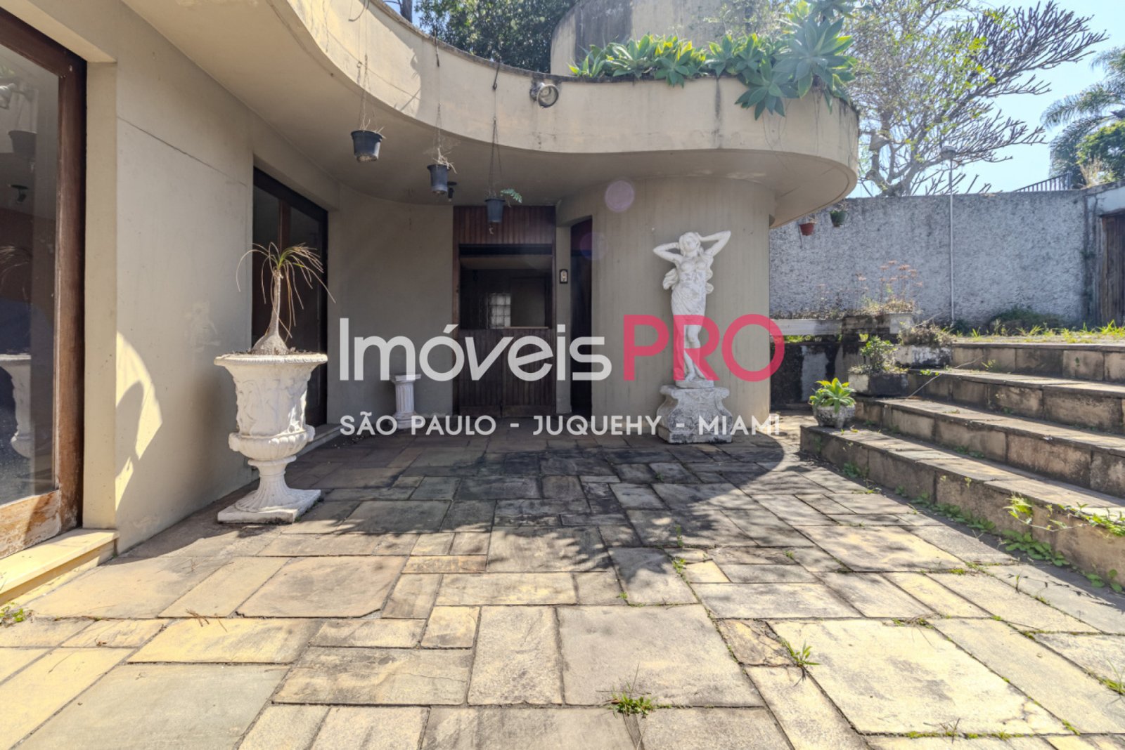 Foto :: IP40741