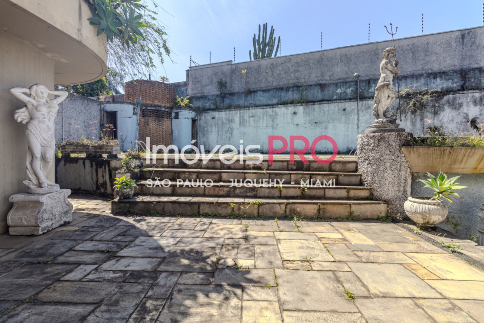 Foto :: IP40741
