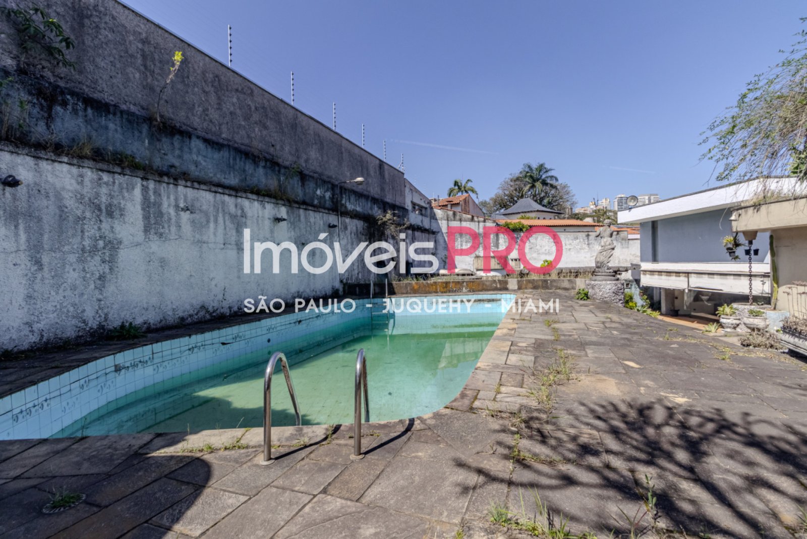 Foto :: IP40741