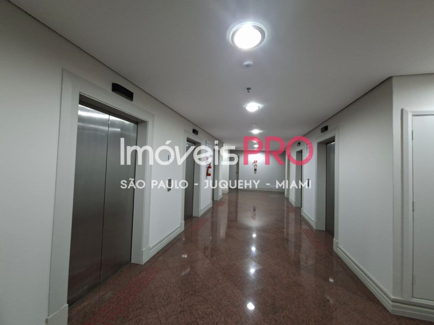 Foto :: IP40759