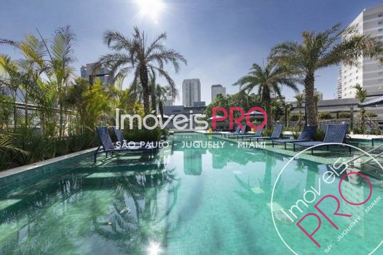 Foto :: IP40763
