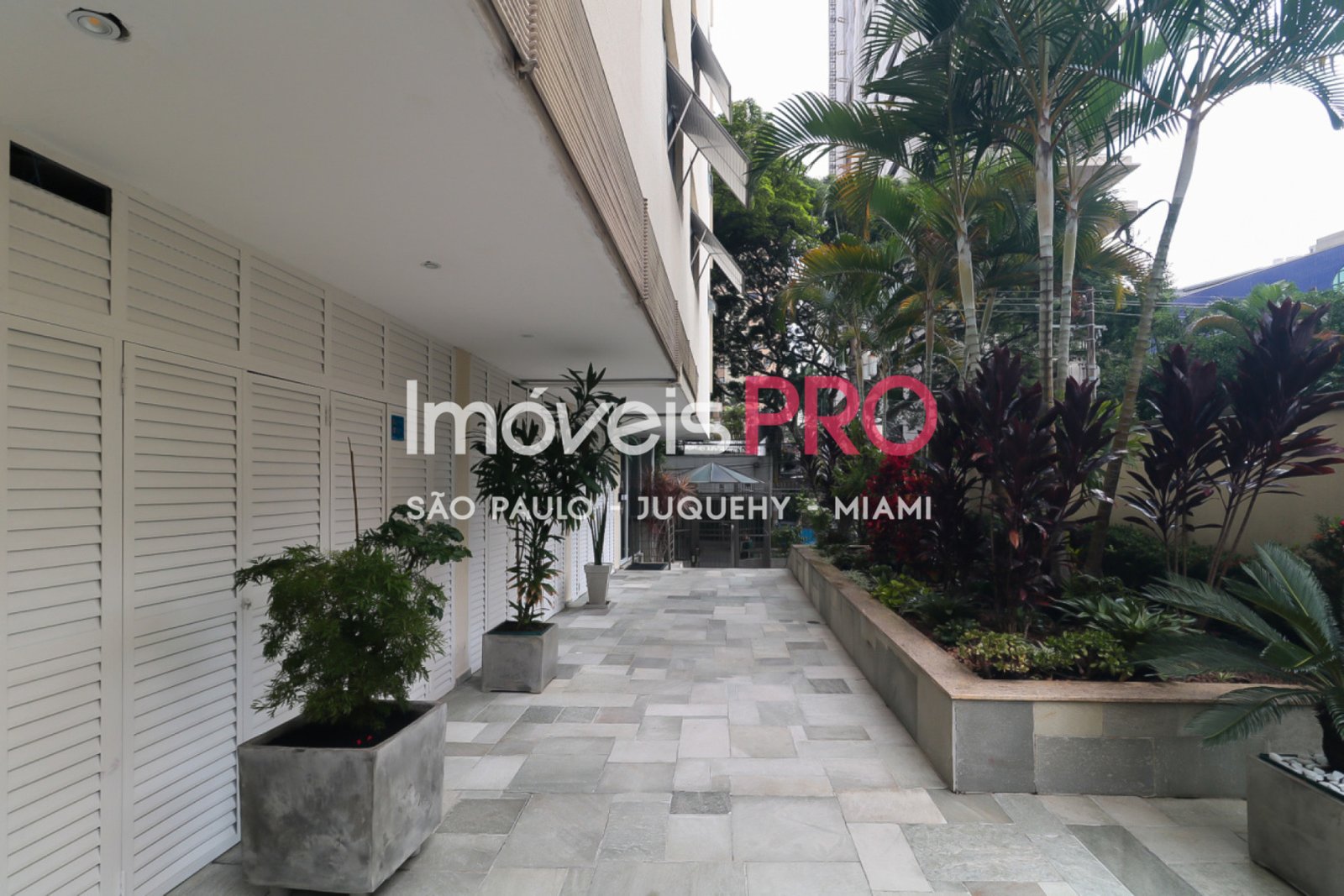 Foto :: IP40764