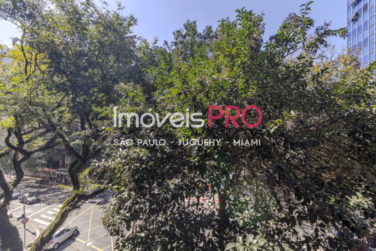 Foto :: IP40766