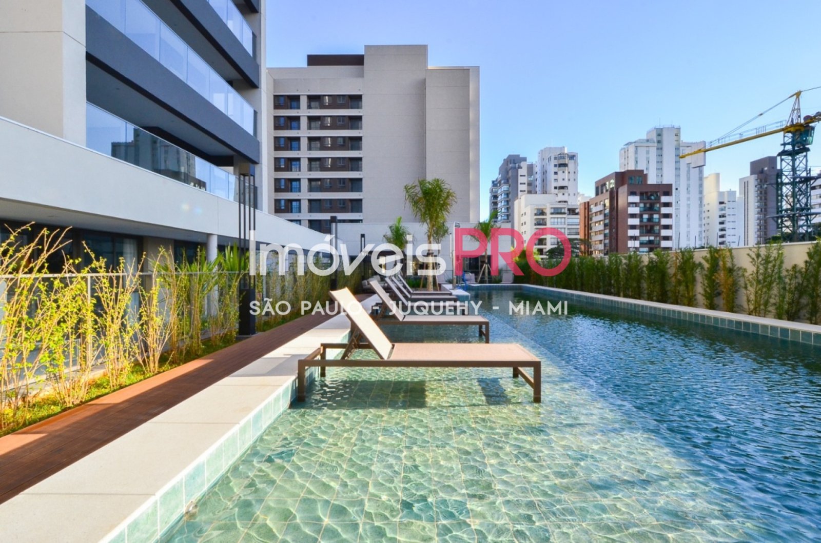 Foto :: https://assets.imoveispro.com.br/thumb/IP40772/apartamento-venda-campo-belo_IP40772_17_1920x1080.jpg?