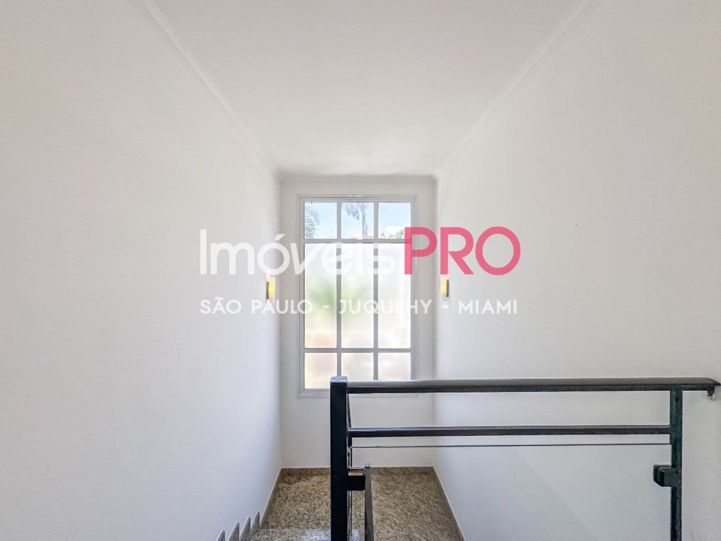 Foto :: IP40776