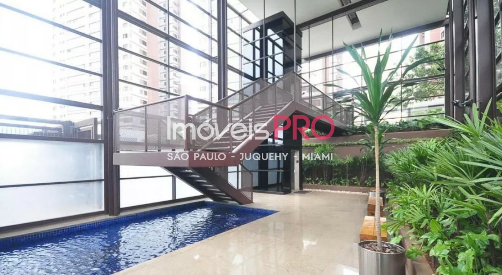 Foto :: IP40790
