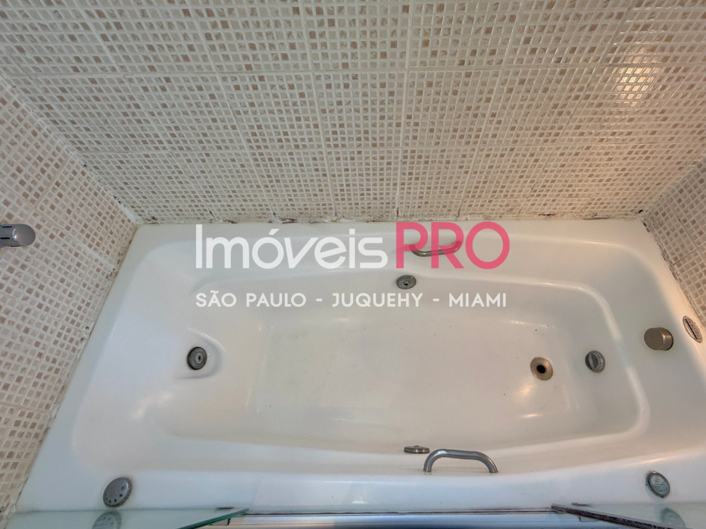 Foto :: IP40795