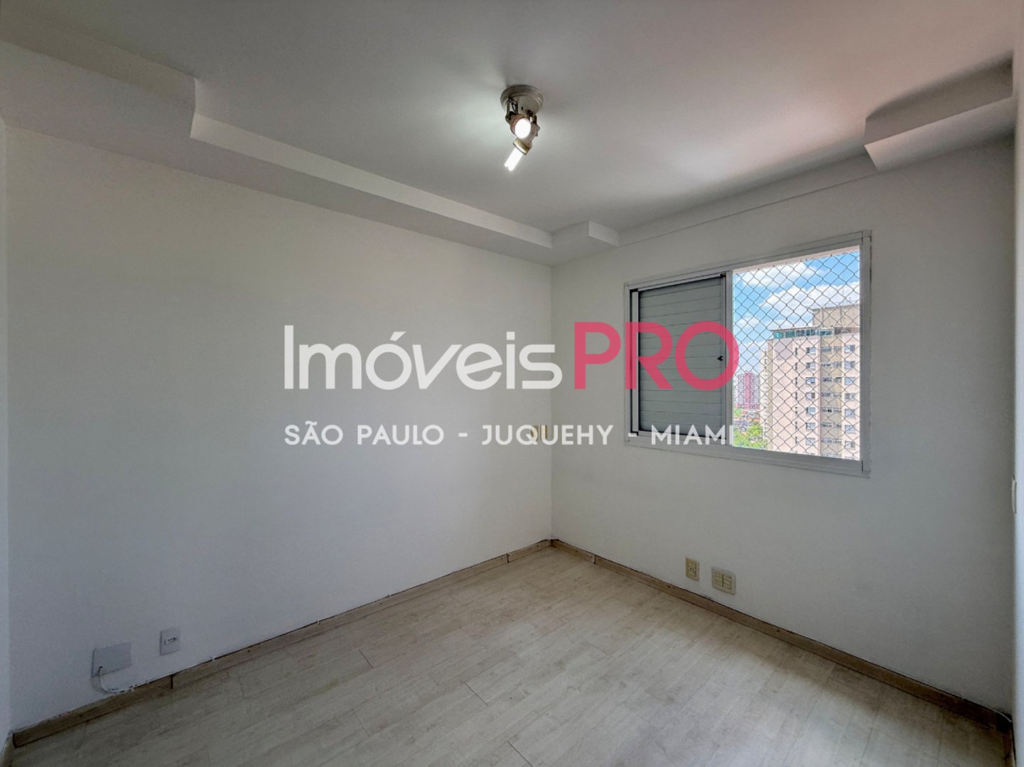 Foto :: IP40795