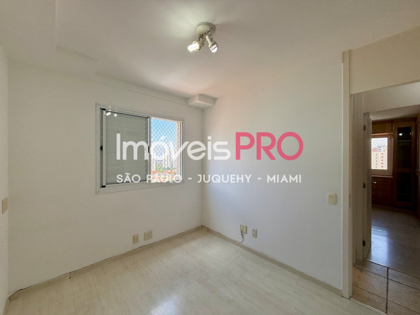 Foto :: IP40795