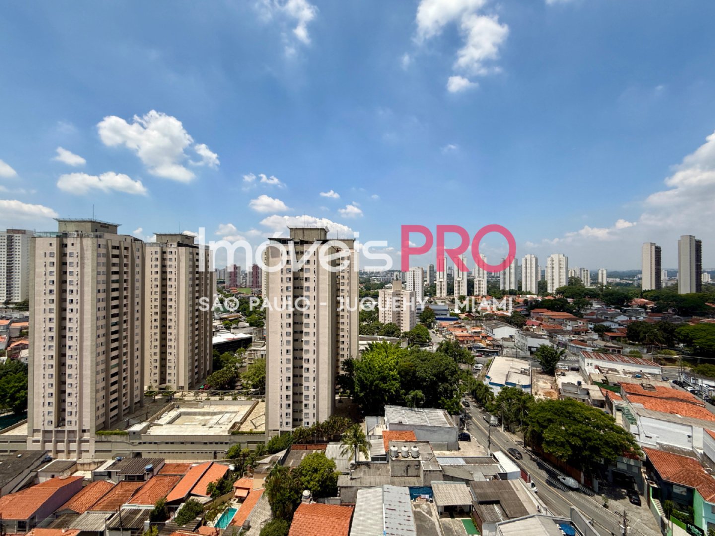 Foto :: IP40795