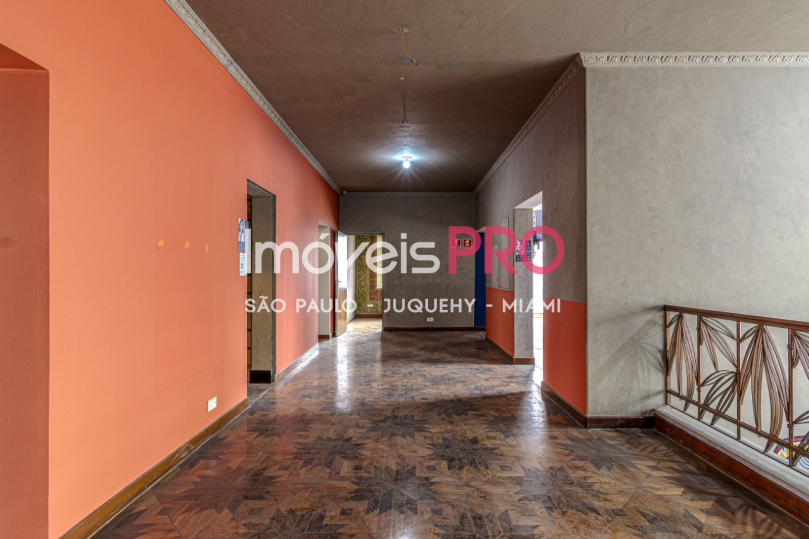Foto :: IP40817