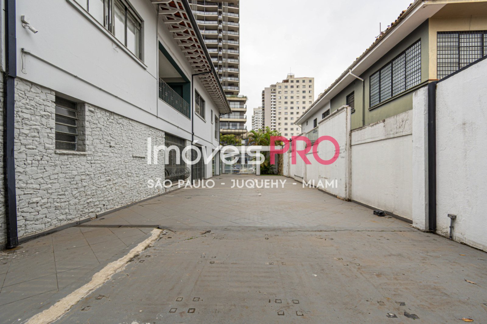 Foto :: IP40817