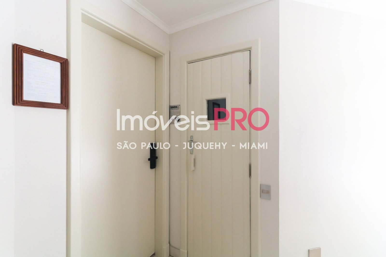 Foto :: IP40838