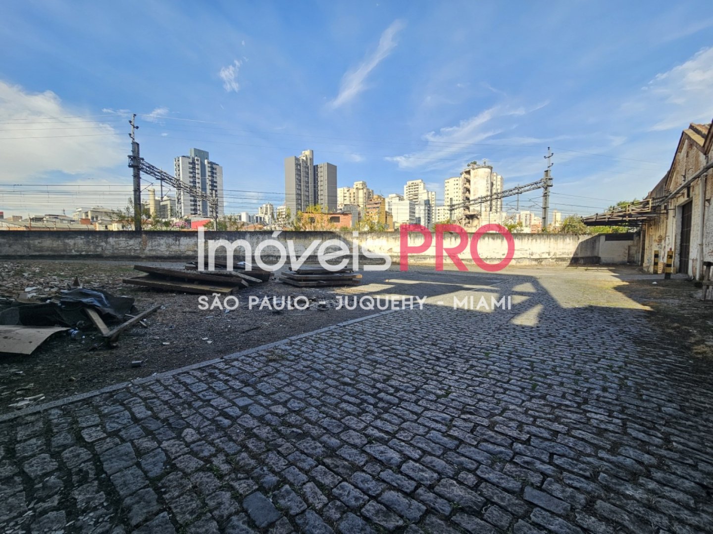 Foto :: IP40841