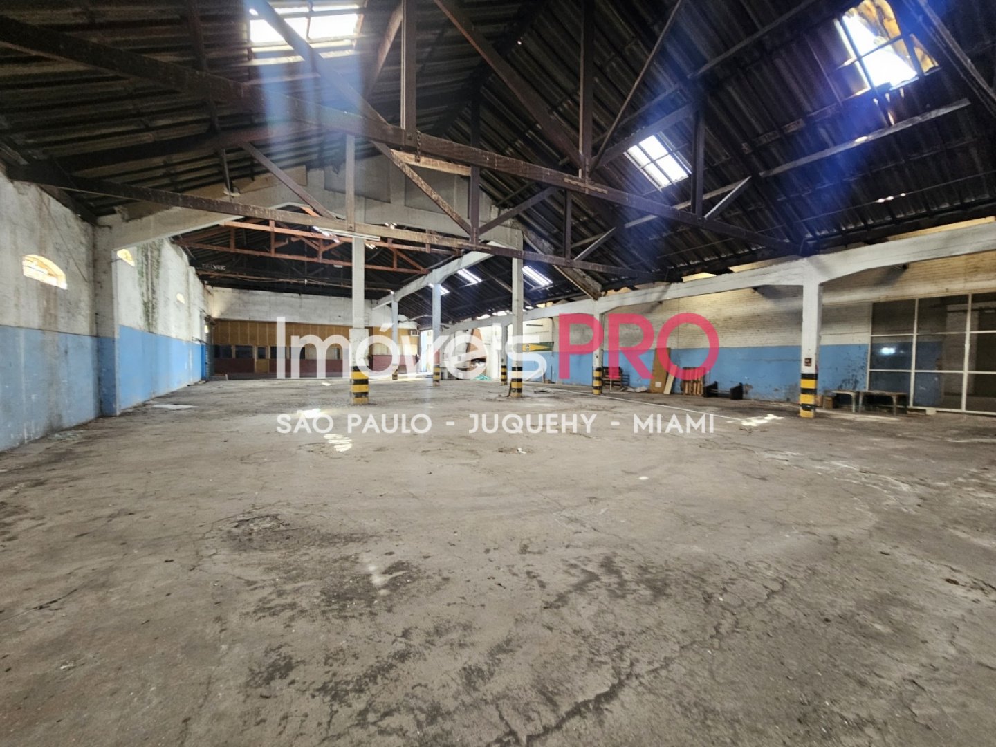 Foto :: IP40841