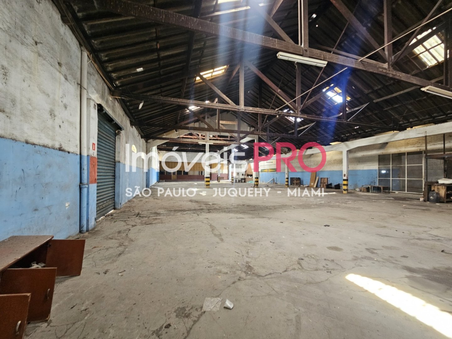 Foto :: IP40841