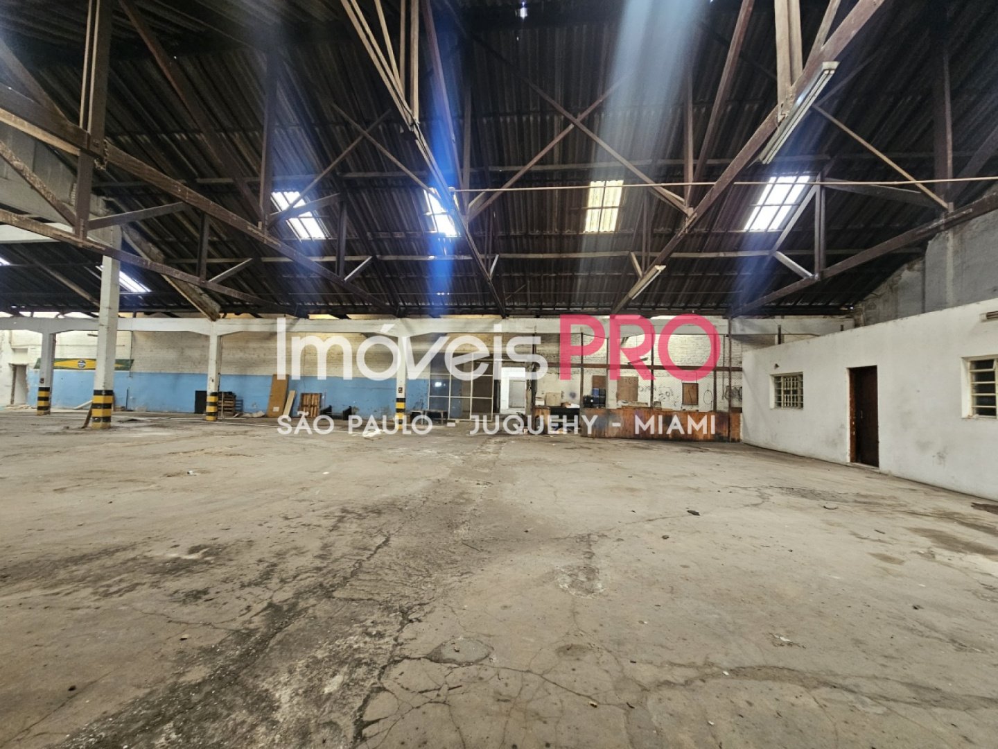 Foto :: IP40841