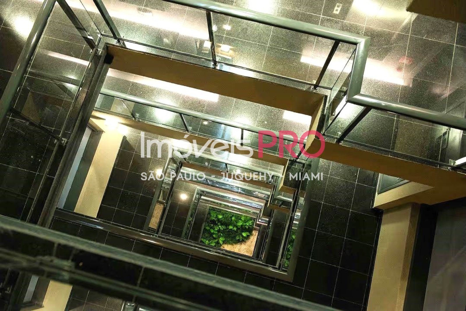 Foto :: IP40844