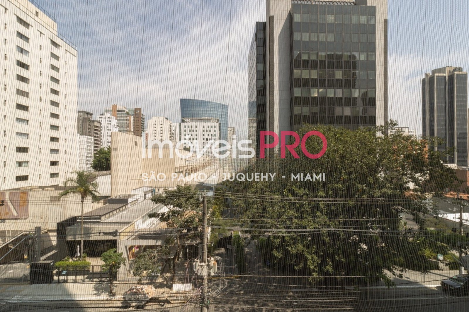 Foto :: IP40863