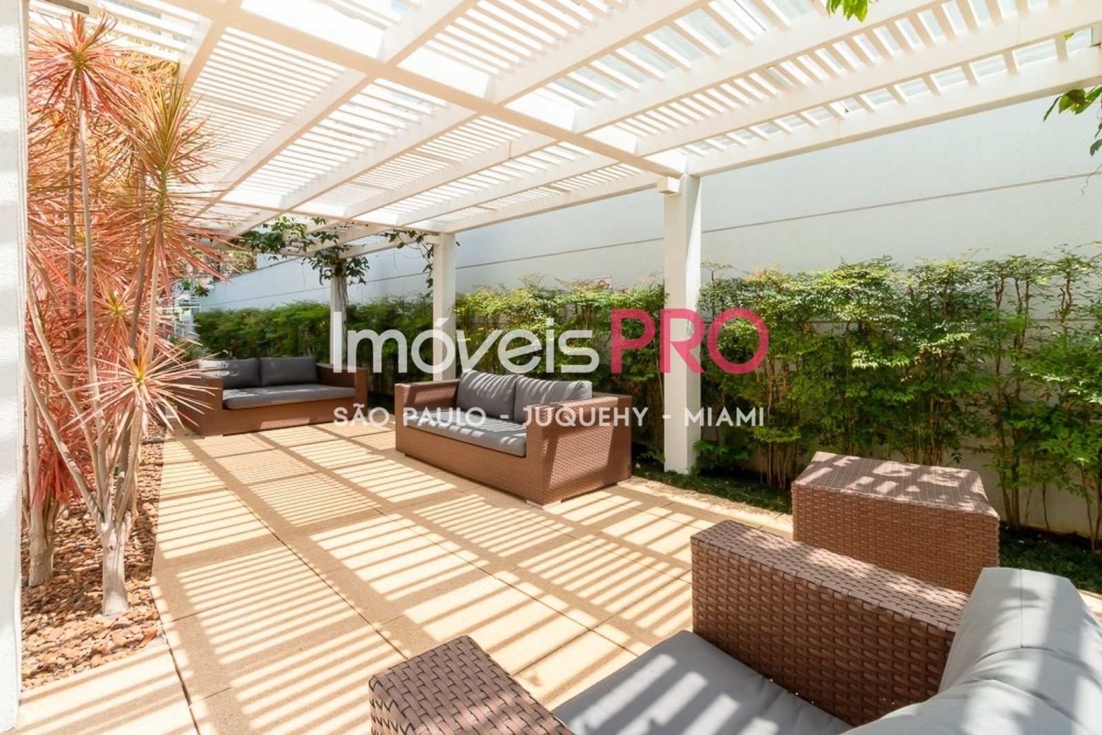 Foto :: IP40881