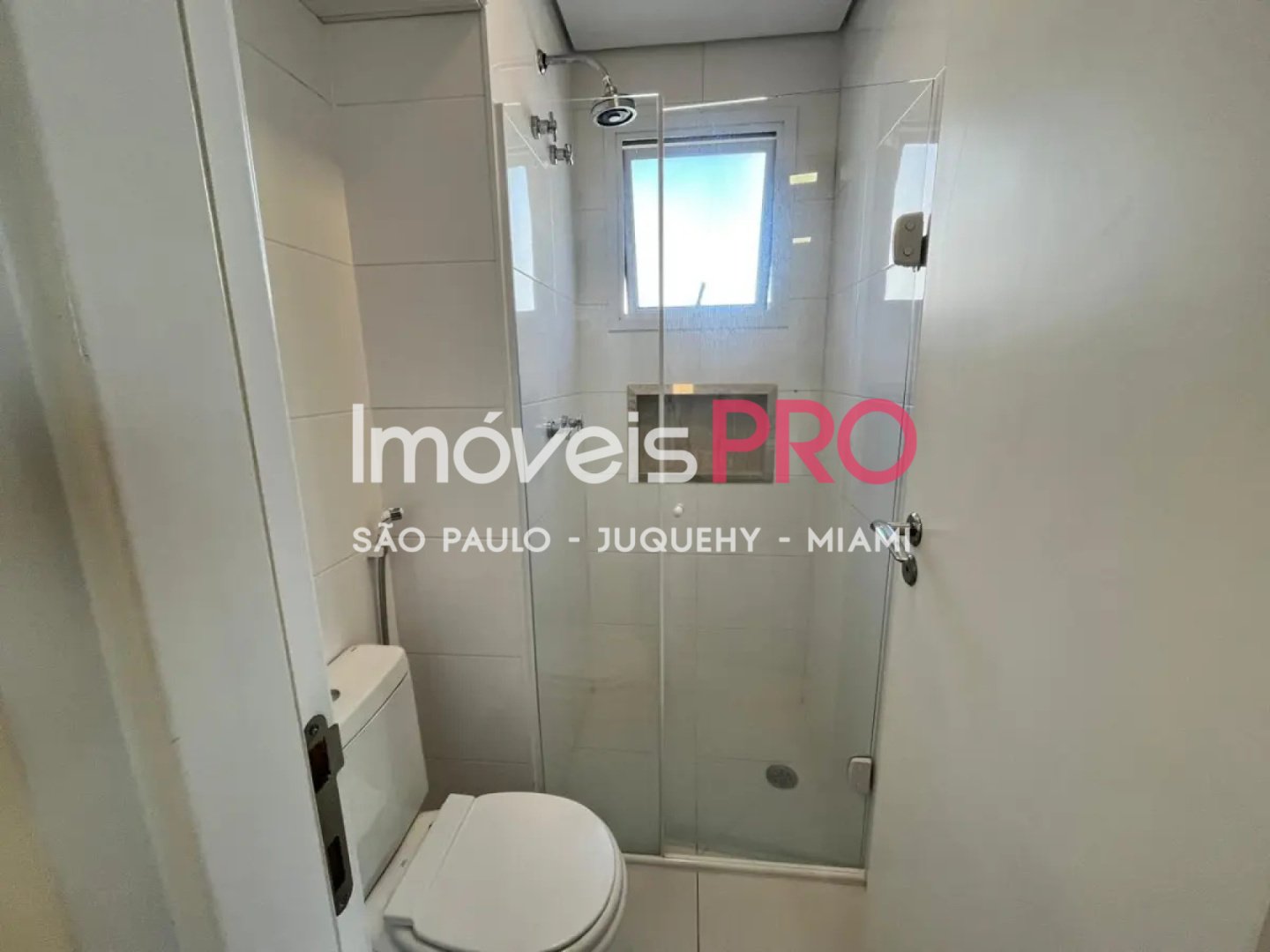 Foto :: IP40883