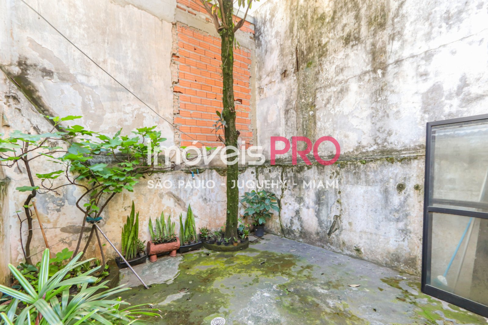 Casa para Vender, Paraíso | Cód: IP40890 — 