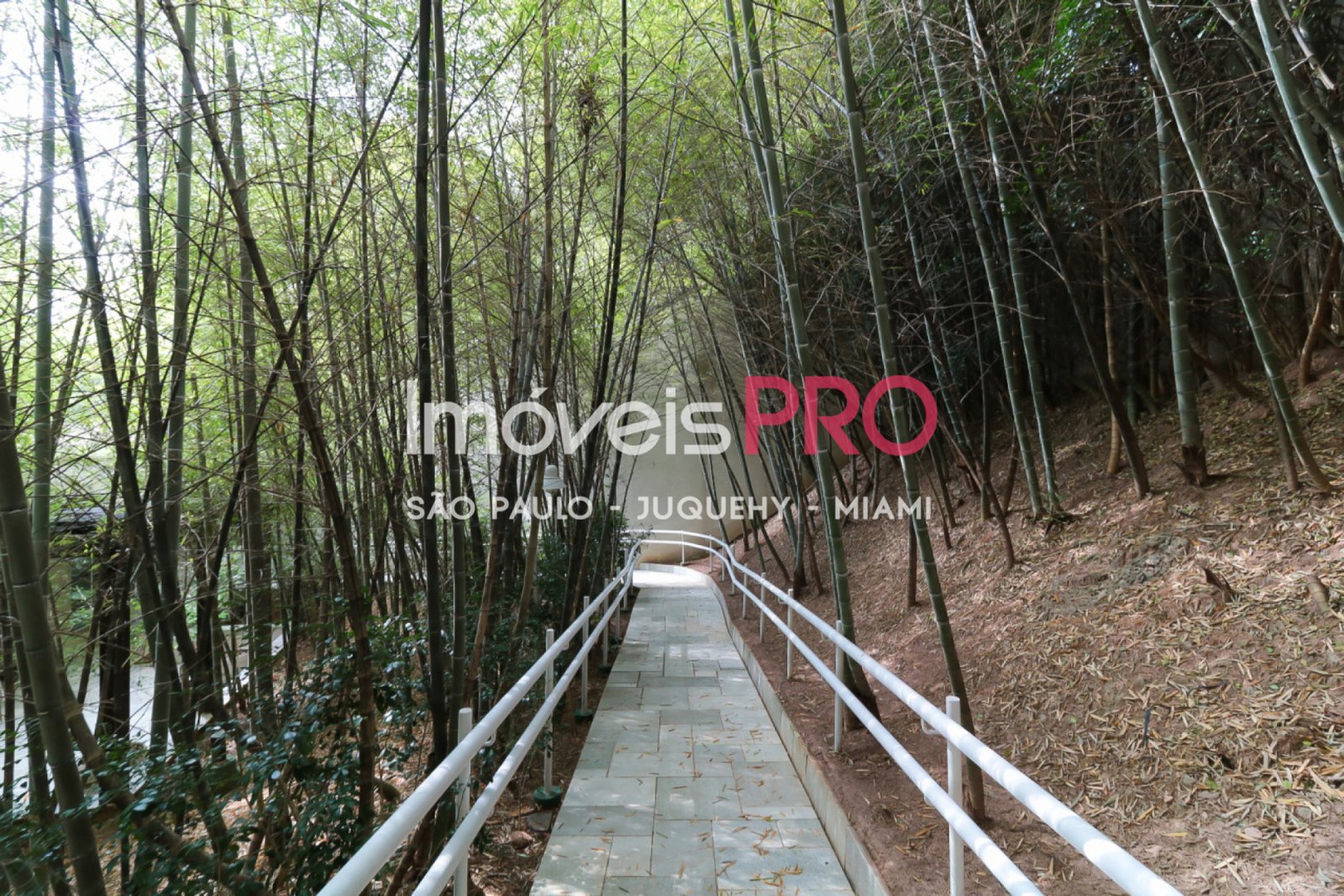 Foto :: IP40903