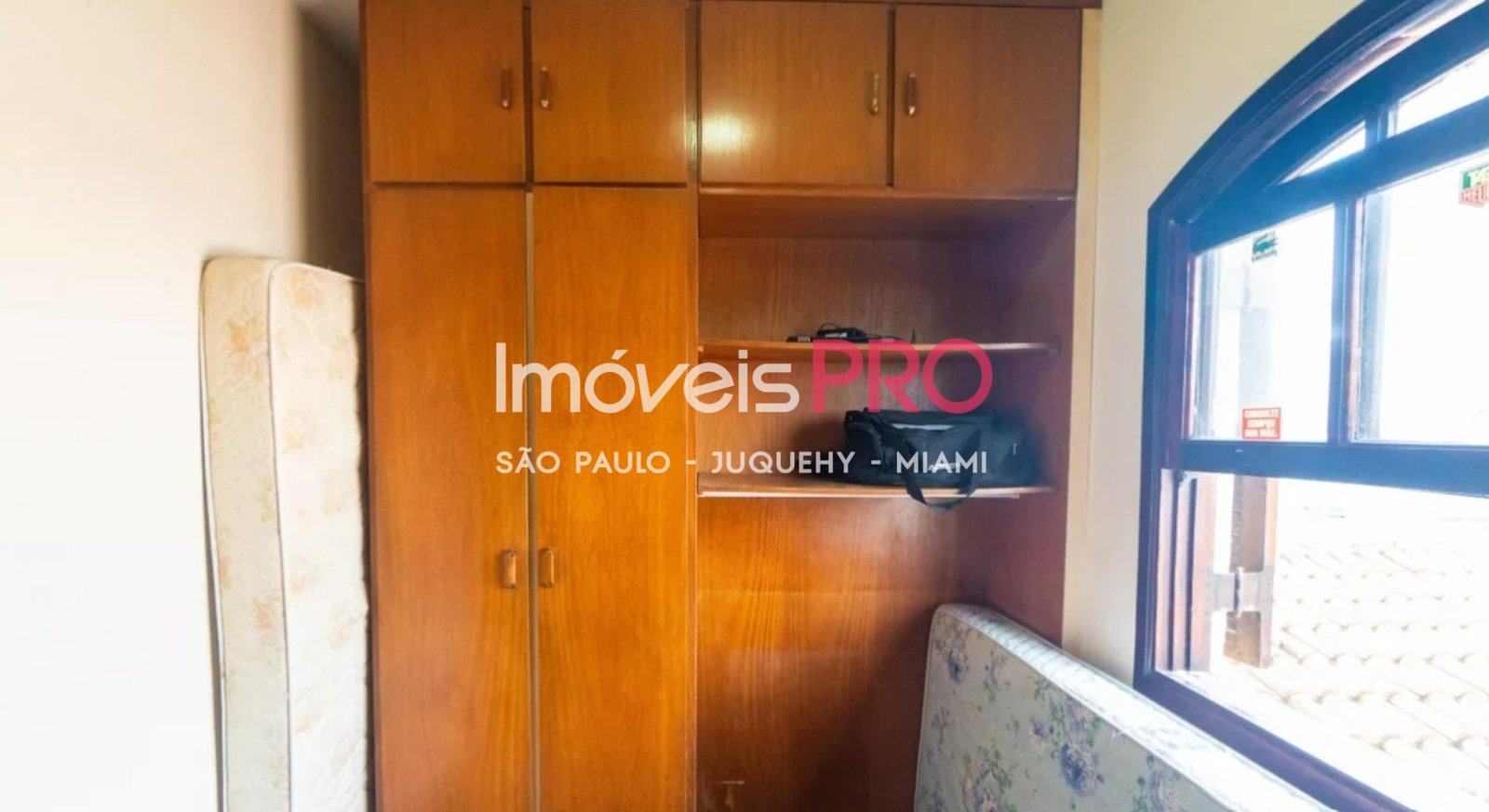 Foto :: IP40910