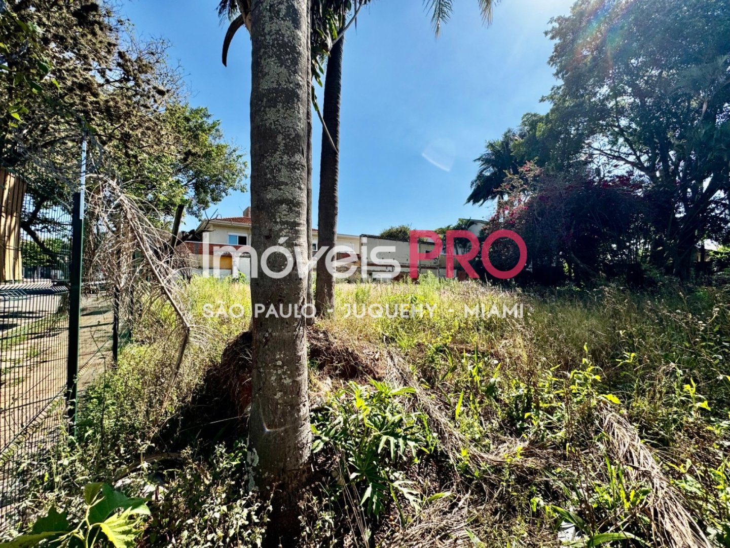 Foto :: https://assets.imoveispro.com.br/thumb/IP40916/terreno-venda-planalto-paulista_IP40916_11_1920x1080.jpg?