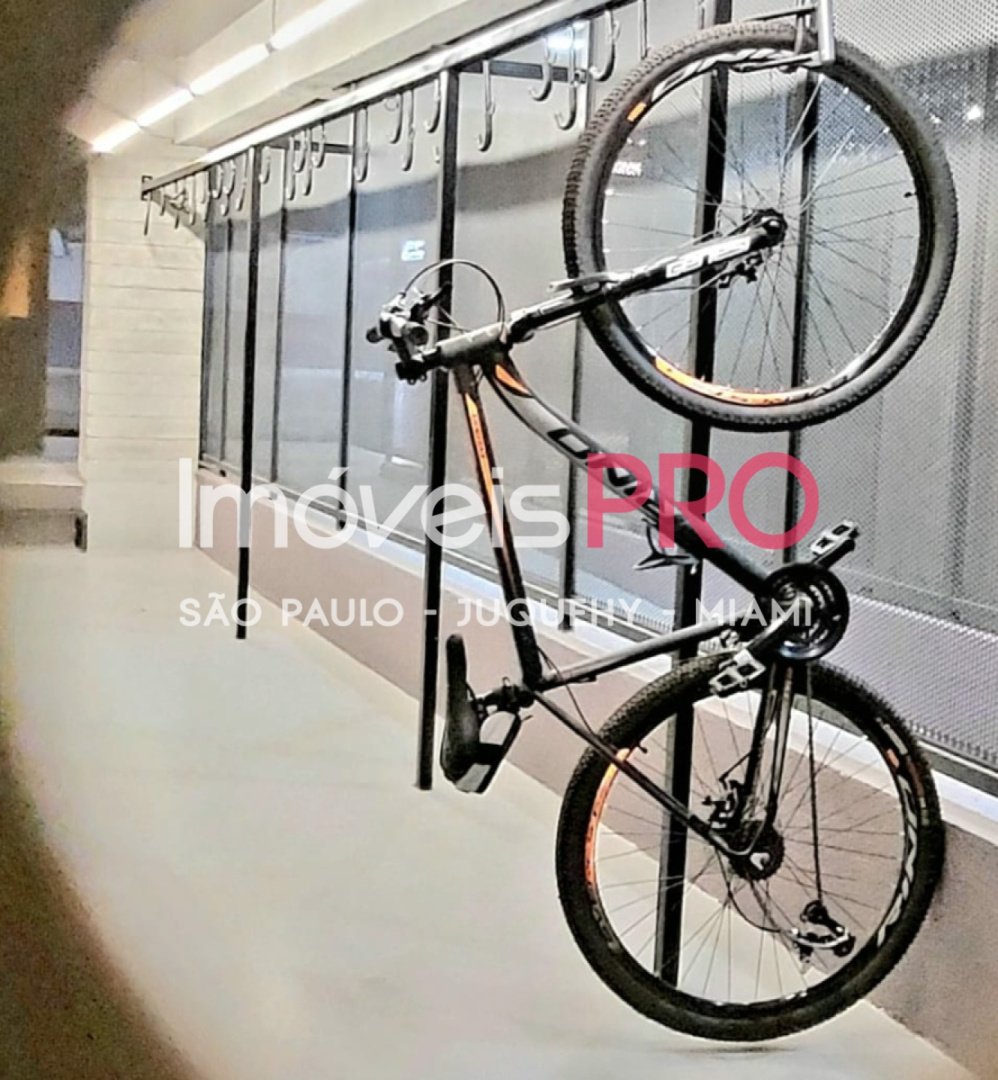 Foto :: IP40943