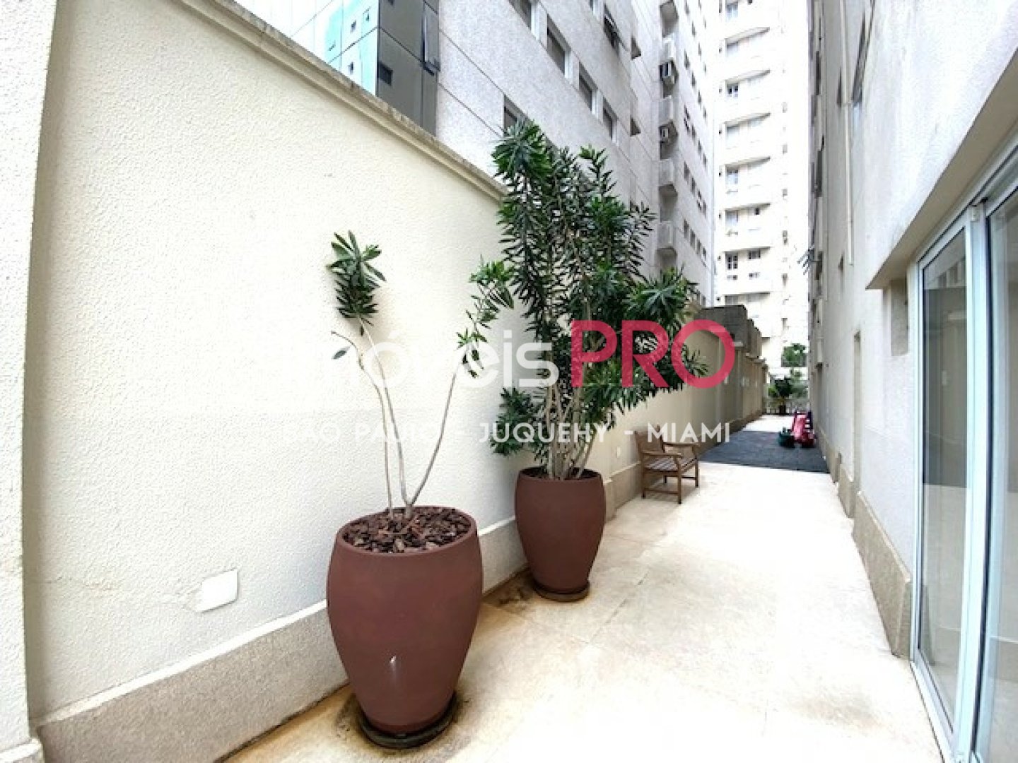 Foto :: IP40944