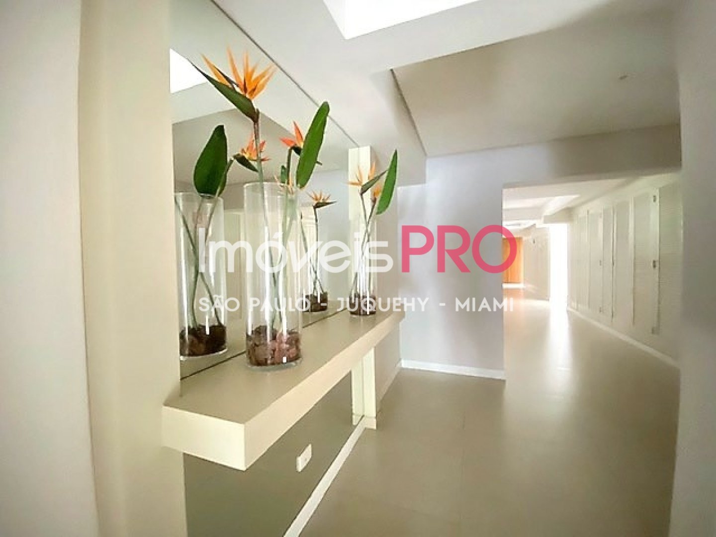 Foto :: IP40944